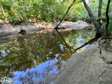 Riverfront Property for sale in Washington County, Alabama