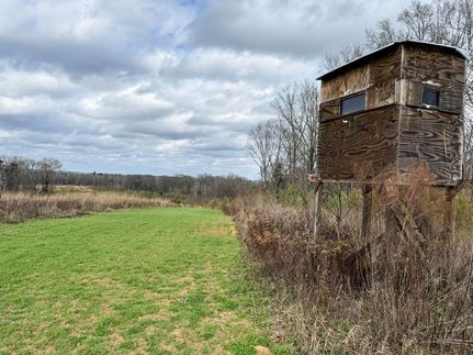 Undeveloped Land for sale in Claiborne County, Mississippi