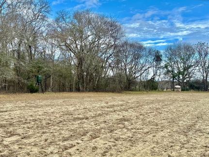 Property for sale in Laurens County, Georgia