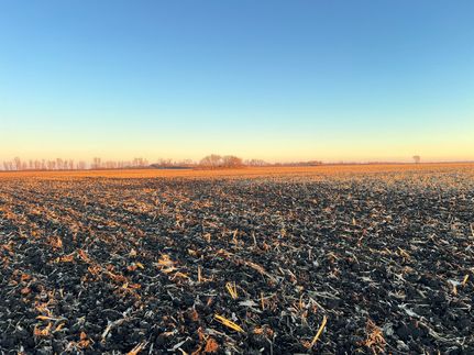 Property for sale in Walsh County, North Dakota