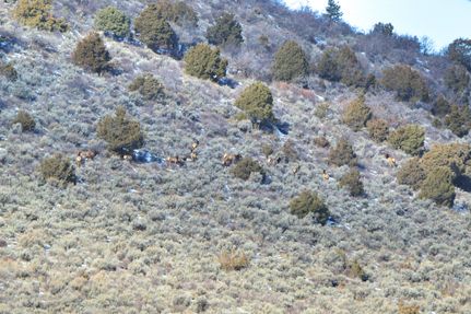 Property for sale in Rio Blanco County, Colorado