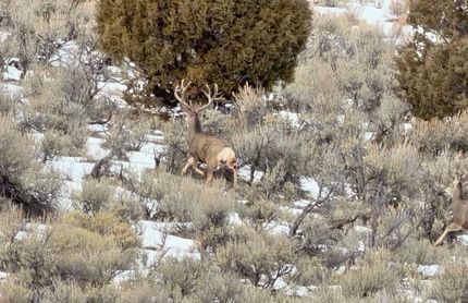 Ranch Property for sale in Garfield County, Colorado