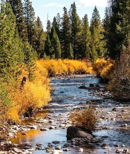 Property for sale in Boise County, Idaho