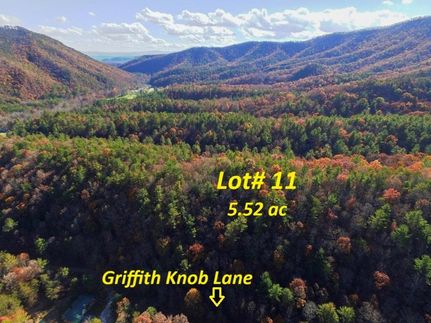 Undeveloped Land for sale in Wythe County, Virginia
