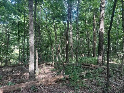 Undeveloped Land for sale in Newton County, Arkansas