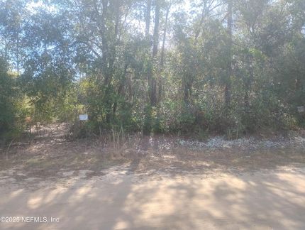Undeveloped Land for sale in Clay County, Florida