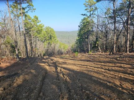 Undeveloped Land for sale in Latimer County, Oklahoma