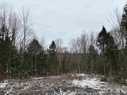 Lakefront Property for sale in Caledonia County, Vermont