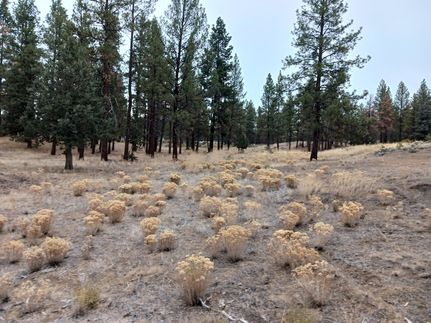 Property for sale in Klamath County, Oregon