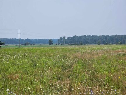 Undeveloped Land for sale in Sanilac County, Michigan