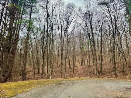 Undeveloped Land for sale in Dutchess County, New York