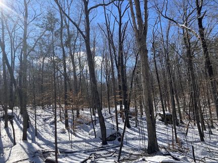 Undeveloped Land for sale in Person County, North Carolina