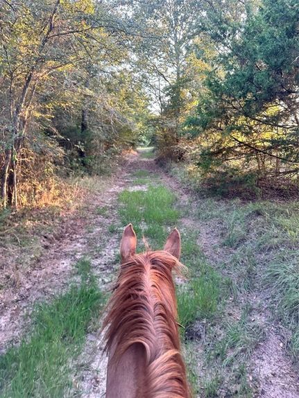 Undeveloped Land for sale in Hunt County, Texas