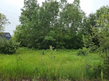 Undeveloped Land for sale in Genesee County, Michigan
