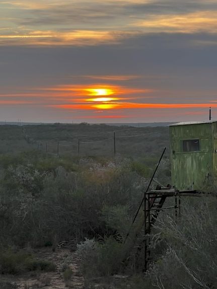 Property for sale in Duval County, Texas