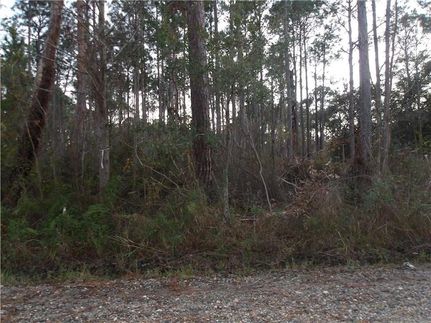 Undeveloped Land for sale in Mobile County, Alabama