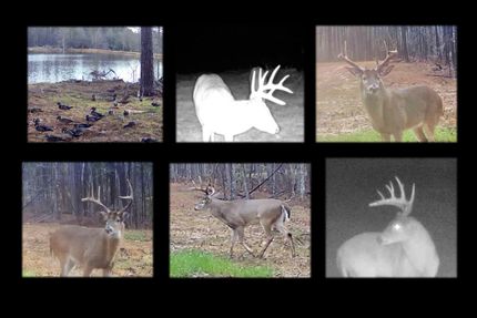 Timberland Property for sale in Madison County, Mississippi