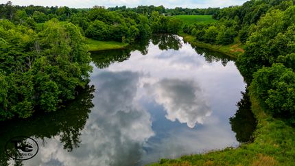 Property for sale in Obion County, Tennessee