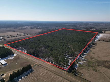 Timberland Property for sale in Cass County, Texas