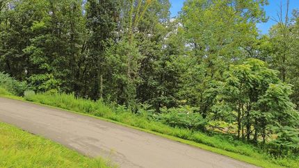 Undeveloped Land for sale in Washington County, Virginia