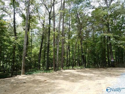 Undeveloped Land for sale in Walker County, Alabama