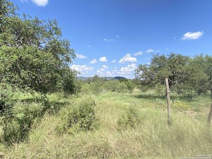 Undeveloped Land for sale in Real County, Texas