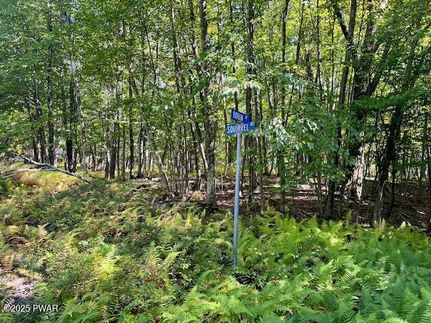 Undeveloped Land for sale in Pike County, Pennsylvania