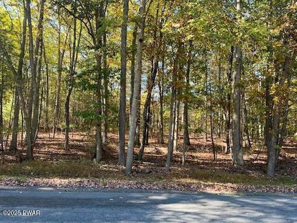 Undeveloped Land for sale in Pike County, Pennsylvania