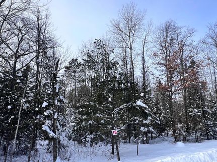 Undeveloped Land for sale in Vilas County, Wisconsin