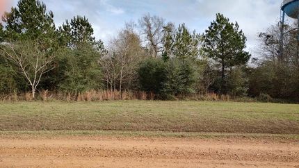 Undeveloped Land for sale in Pearl River County, Mississippi