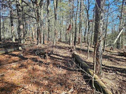 Undeveloped Land for sale in Garland County, Arkansas