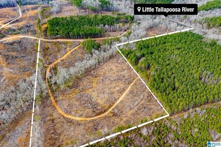 Undeveloped Land for sale in Cleburne County, Alabama