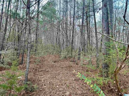 Property for sale in Jefferson County, Alabama