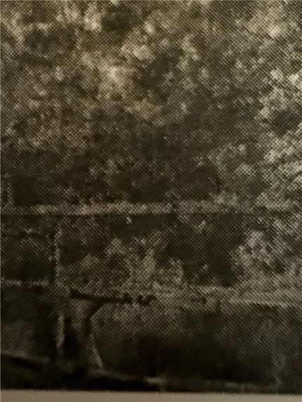 Undeveloped Land for sale in Duval County, Texas