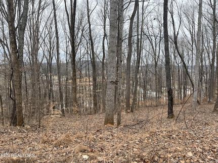 Undeveloped Land for sale in Overton County, Tennessee