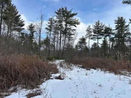 Undeveloped Land for sale in Essex County, New York
