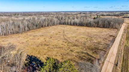 Undeveloped Land for sale in Beltrami County, Minnesota