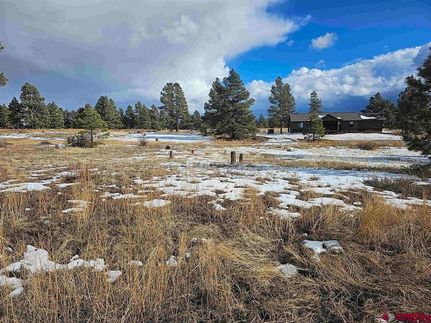 Undeveloped Land for sale in Archuleta County, Colorado