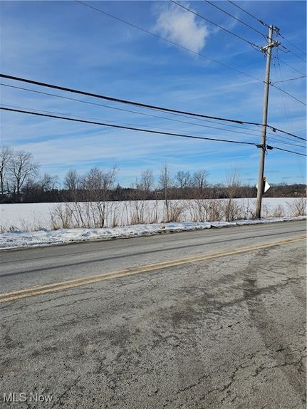 Undeveloped Land for sale in Lorain County, Ohio