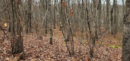 Property for sale in Litchfield County, Connecticut