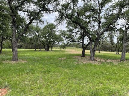 Undeveloped Land for sale in Blanco County, Texas