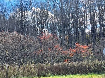 Property for sale in Oneida County, New York