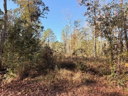 Undeveloped Land for sale in Tangipahoa Parish, Louisiana