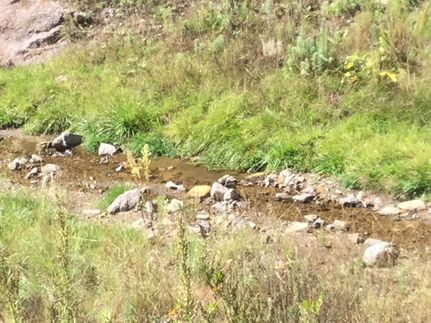 Recreational Property for sale in Lincoln County, New Mexico