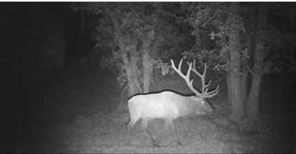 Property for sale in Crook County, Wyoming