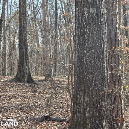 Property for sale in Montgomery County, Alabama