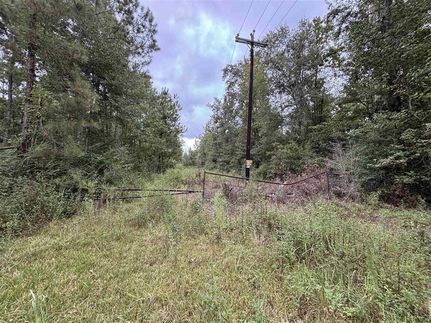 Undeveloped Land for sale in Beauregard Parish, Louisiana