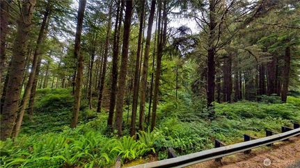 Property for sale in Grays Harbor County, Washington