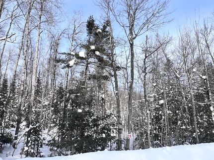 Undeveloped Land for sale in Vilas County, Wisconsin