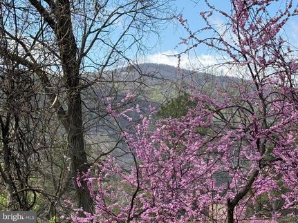 Undeveloped Land for sale in Warren County, Virginia